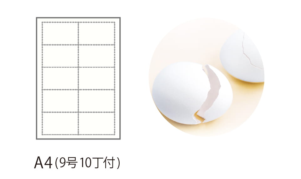 たま殻CoC名刺用紙