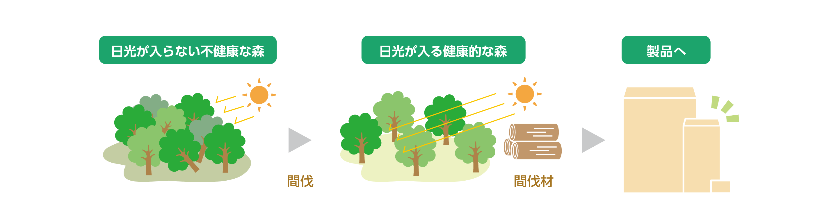 間伐材とはの解説イラスト|間伐材由来の紙素材を用いた封筒・名刺用紙など環境配慮型製品の原料や製造背景、森林保全への貢献をわかりやすく示し企業名刺制作や請求書送付・DM発送に適したサステナブル高品質用紙製品の価値を説明する図解