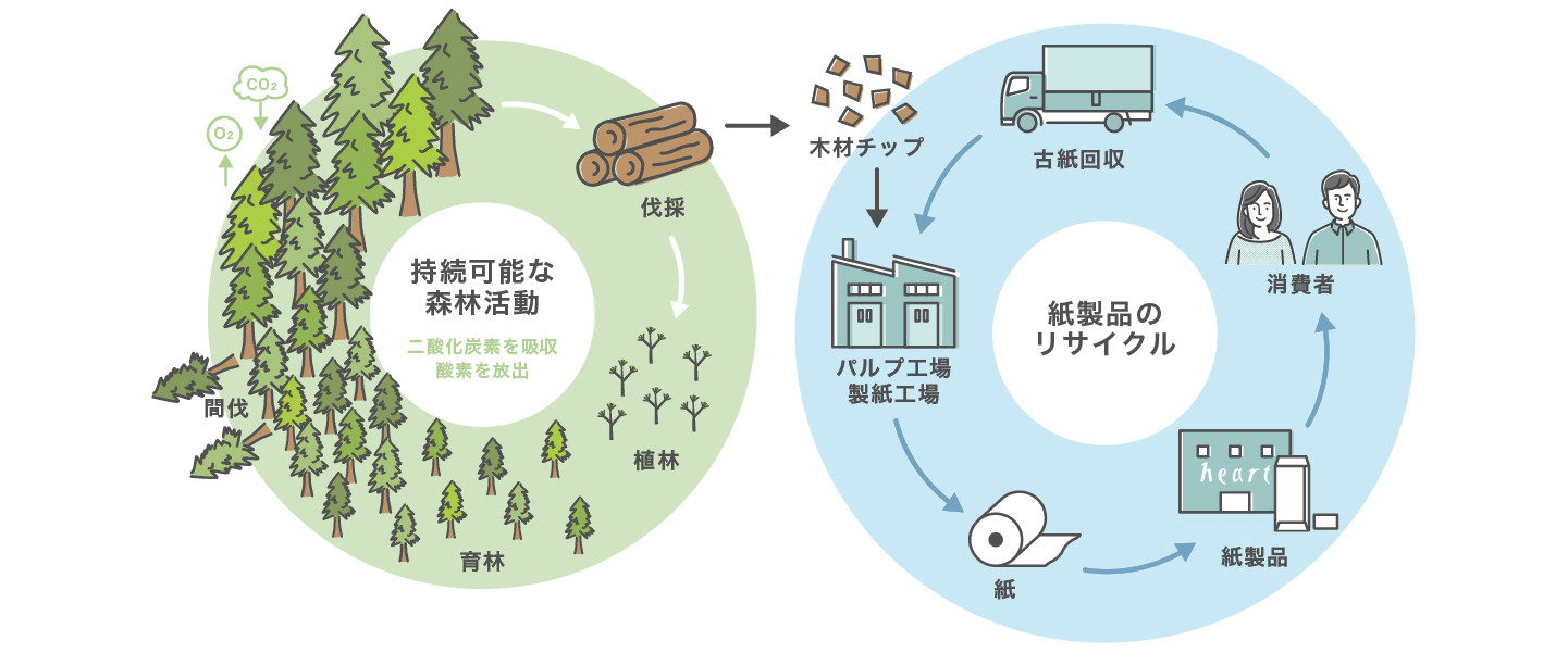 紙化(持続可能な紙資源)